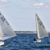 Swedish Finn Championship 2013