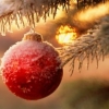 Svenska Seglarförbundet önskar God Jul