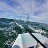 Spring Cup i Rungsted 2026